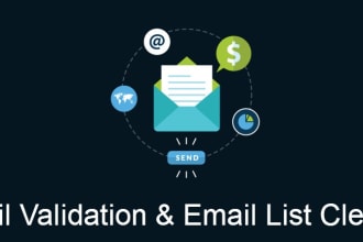 do bulk email verification and cleaning