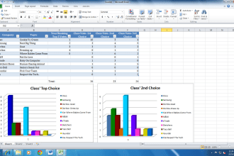 help you with ms excel, ms office projects
