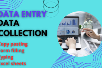 do fastest data entry and copy paste work within 24 hrs