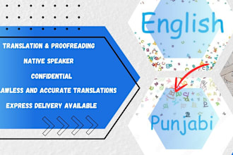 provide you best punjabi to english translation and vice versa