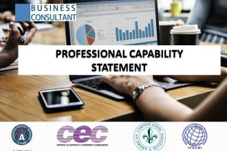 make a professional capability statement for you