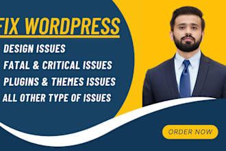 fix wordpress errors, wordpress bugs and issues