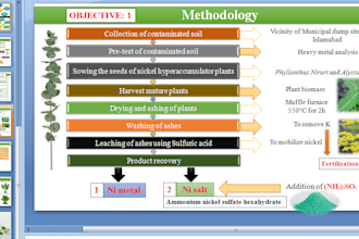 design ppt presentation and ppt slides with the infographic
