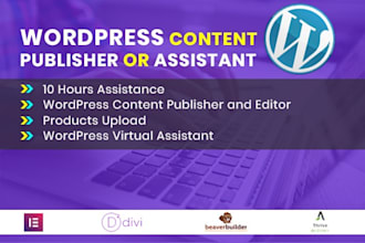 be your wordpress content publisher or wordpress assistant