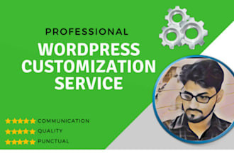 wordpress customization or theme customization