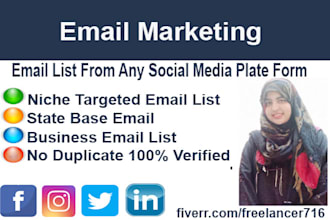 collect niche target email list email extract for business