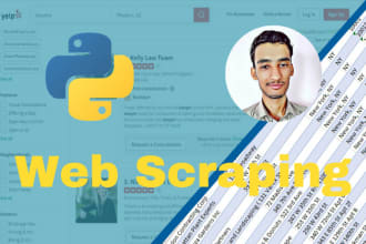 write custom web scraping software in python