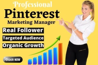 be your professional pinterest marketing manager