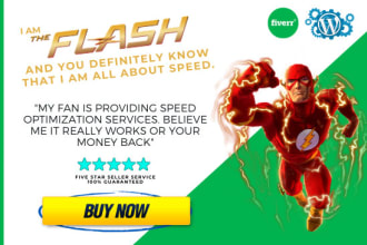 speed up your wordpress website through pro speed optimization