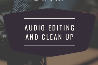 clean up, edit, convert and fix your audio file