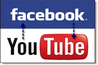 give you 300 Followers/Likes/Subscribers/Shares