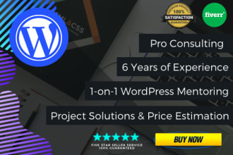 do digital consulting, helping and tutoring pro wordpress