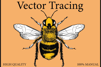 redraw and convert, trace any sketch or logo into vector