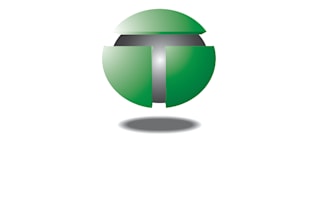 design a professional logo