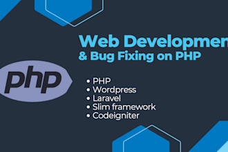 be your web developer or bug fixer and modifier