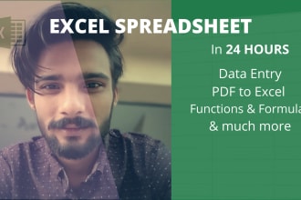 build excel spreadsheet, charts, pivottables, macros