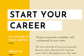 write investment ready business plan and proposal for you