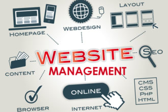do your wordpress website update and e commerce management
