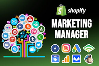 be your shopify store marketing expert to drive traffic and boost sale
