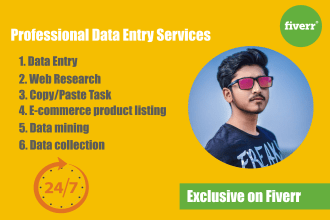 do data entry, copy paste, web research, data mining and excel works