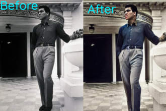 colorize your black and white photos
