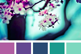 create a custom color palette for you in 24 hrs