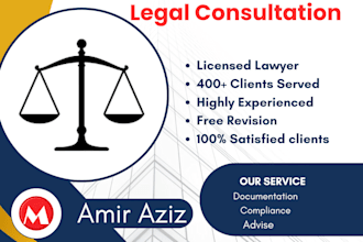 provide legal consultation for your business
