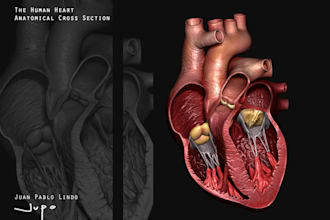 3d model of sculpture any what you want in zbrush