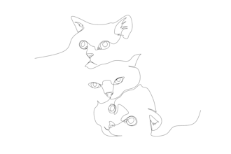 draw continuous one line art from your pet portrait