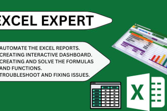 be your excel expert and create your professional excel report and dashboard