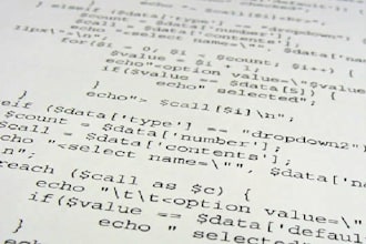 write professional PHP codes for your website