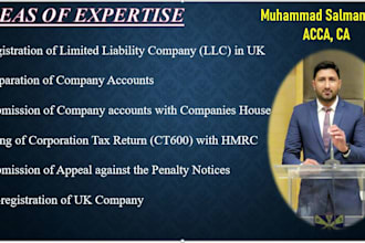 prepare, file UK company accounts and UK tax return