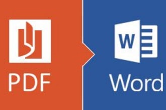 retype 1000 words of your pdf doc to ms word