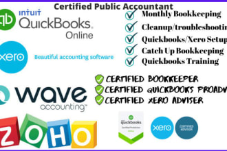 do quickbooks online bookkeeping, consultation, xero, clean up, profit or loss