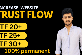 increase trust flow tf 30 plus skyrocket of your website