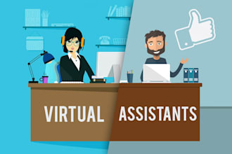 be the virtual assistant for your drop shipping store