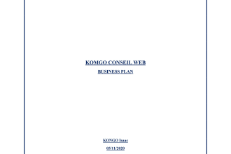 deliver top notch business plans and financial forecasts