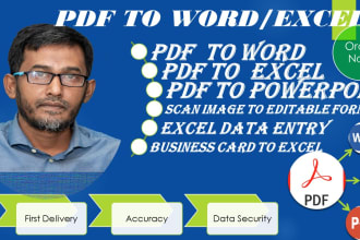 do PDF to excel, typing job, convert scan pdf to word