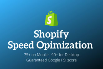 do shopify speed optimization on google pagespeed insight