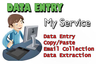 do data entry in low price