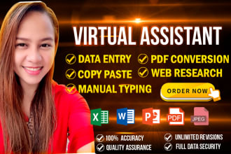 do data entry, web research, PDF to excel, typing, copy paste, excel data entry