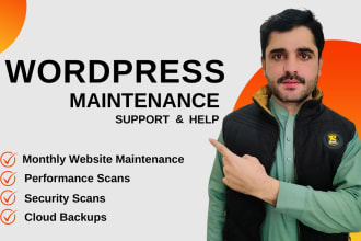 do wordpress website maintenance, wordpress tech support, fix bugs, and help