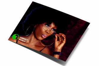 design a professional media kit, press kit, epk, event flyer