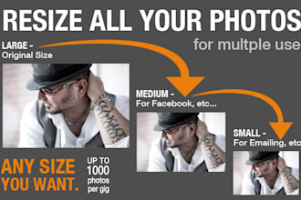 resize 1000 Photos