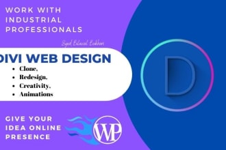 be your expert for wordpress divi theme