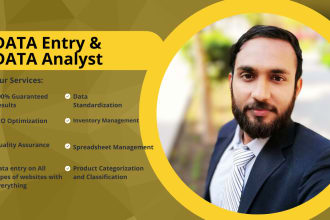 do data entry and data analyst