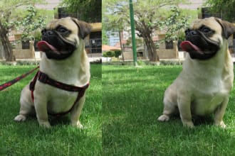 remove or crop elements from images