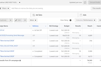 be your virtual assistant for facebook ads and digital marketing