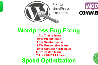 fix wordpress bugs, issues, errors and customization