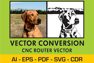do vector tracing, vector conversion convert image in svg, ai, pdf, eps, cdr